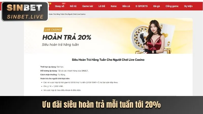 Hoàn trả casino Kingfun